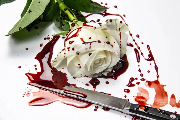 Beautiful Bloody White Rose Knife White Background Bloody Rose Conceptual — Stock Photo, Image