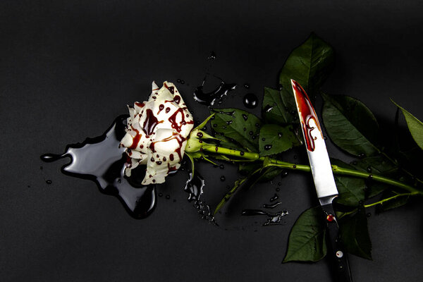 Beautiful and bloody white rose with knife on the dark background. Bloody rose - conceptual photo.  White rose with knife and blood.