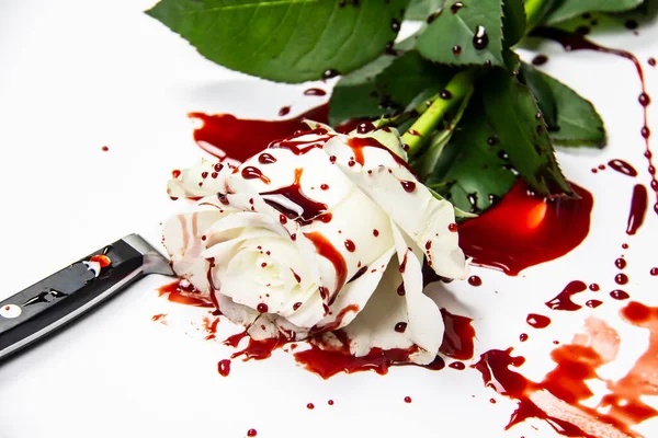 Красивая Кровавая Белая Роза Ножом Белом Фоне Кровавая Роза Концептуальное — стоковое фото