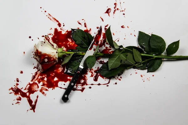 Schöne Und Blutige Weiße Rose Mit Messer Auf Weißem Hintergrund — Stockfoto