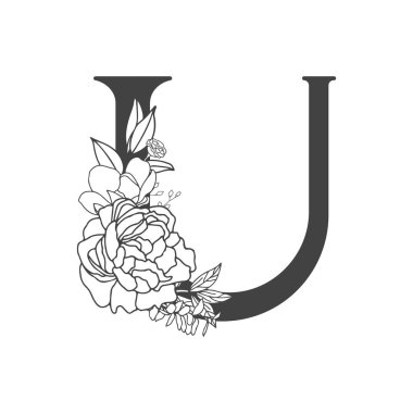 Vektör çiçek alfabesi. Çiçek tasarımı, U harfi düğün davetiyeleri, kartvizitler, çiçekçilerin kartvizitleri. Bir çizgi biçiminde büyük narin çiçekler