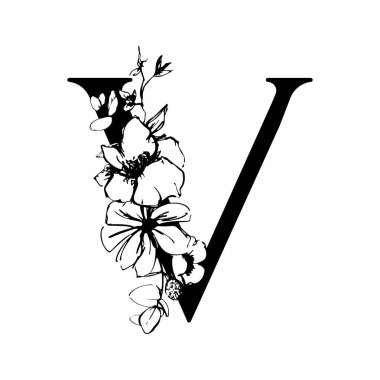 Vektör çiçek alfabesi. V harfinin çiçekli tasarımı. Düğün davetiyeleri, kartvizitler, çiçekçilerin kartvizitleri. Bir çizgi biçiminde büyük narin çiçekler