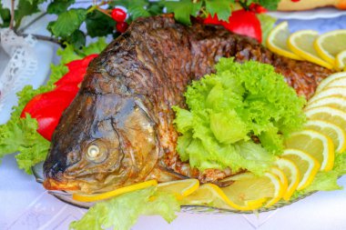 Masanın üzerinde doldurulmuş balık var.