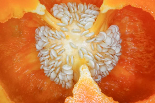 Pimiento naranja en la macro sección — Foto de Stock
