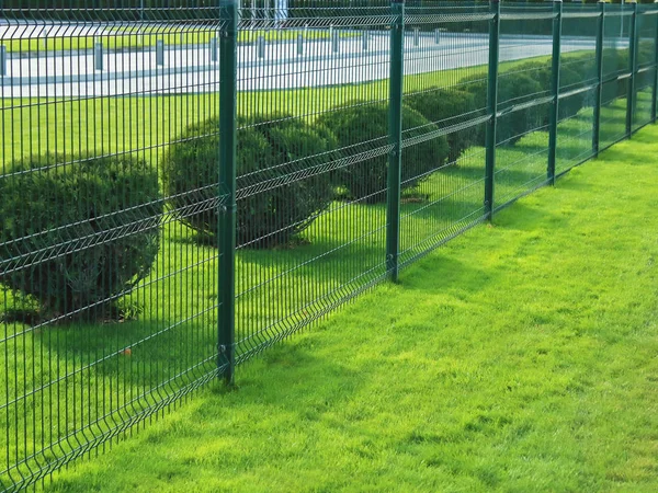 Gepflegter Zaun Und Sträucher Der Nähe Des Parkplatzes Der Stadt lizenzfreie Stockfotos