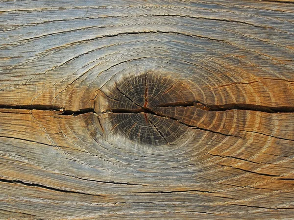 Torr Trä Såg Skuren Knut Konsistens Bakgrund Dekoration Bar — Stockfoto