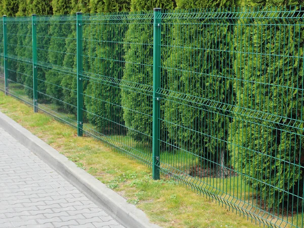 Cerca Metal Puro Área Parque Thuja Cidade — Fotografia de Stock