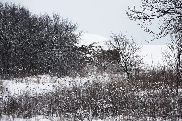 Natureza no tempo de inverno — Fotografia de Stock