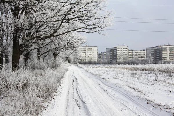 Natureza no tempo de inverno — Fotografia de Stock