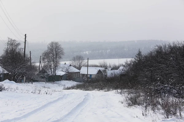 Natura in inverno — Foto Stock