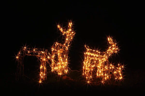 Illuminations Noël Amérique — Photo