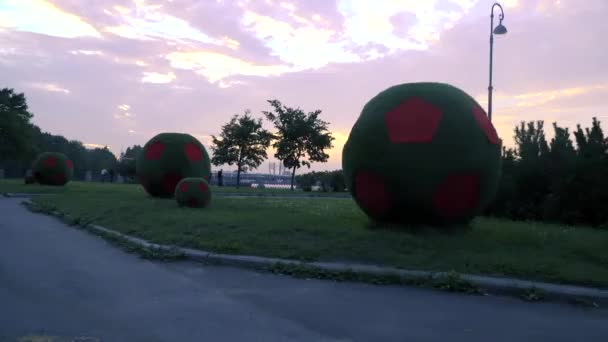 San Petersburgo Rusia Julio 2018 Aficionados Fútbol Socker Campeonato Mundial — Vídeo de stock