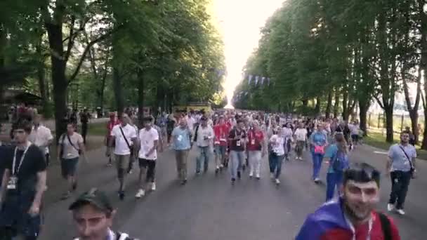 San Petersburgo Rusia Julio 2018 Aficionados Fútbol Socker Campeonato Mundial — Vídeo de stock