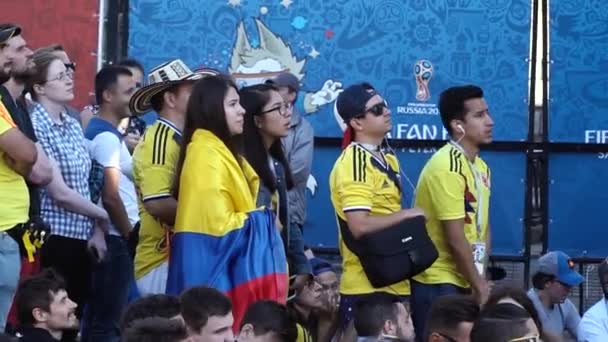 São Petersburgo Rússia Julho 2018 Torcedores Futebol Socker Campeonato Mundial — Vídeo de Stock