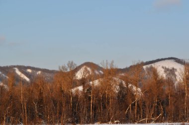 Tepeler ve derin orman