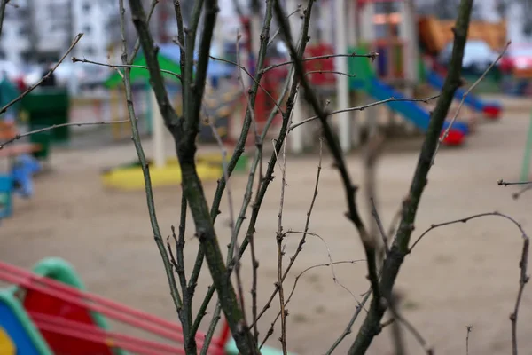 Vista Parque Infantil Através Dos Ramos Uma Árvore — Fotografia de Stock