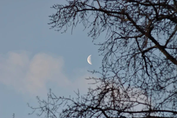 Luna Cielo Mañana Diciembre — Foto de Stock