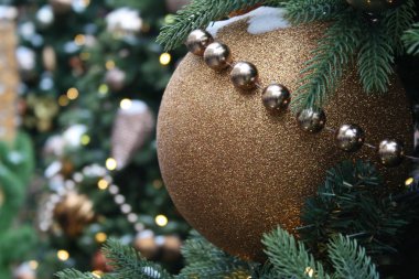 Noel ağacının dallarında Noel süslemeleri