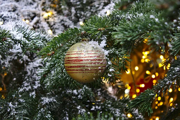 Karácsonyfa Játék Ágon Arany Labda Piros Csíkokkal — Stock Fotó