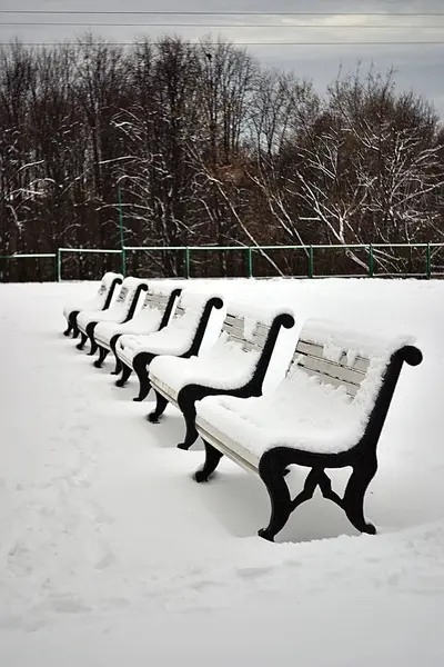 Une Rangée Bancs Recouverts Neige — Photo