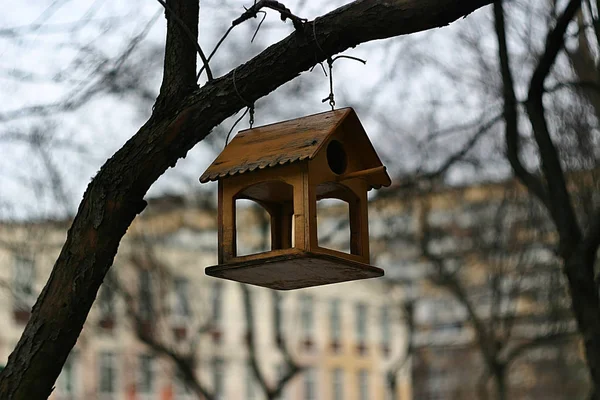 Mangeoire Oiseaux Forme Maison Sur Une Branche — Photo