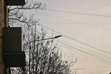 Balkonlu duvar ve gökyüzüne bağlı kablolar.