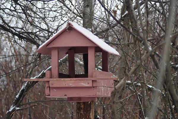 Roze Vogel Feeder Een Boom Winter — Stockfoto