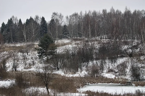 Winterlandschaft Stadtrand — Stockfoto