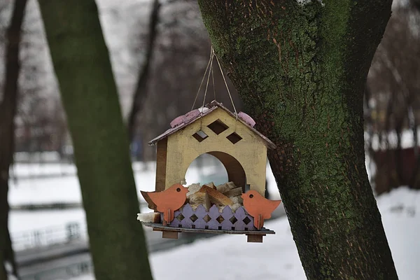 Vogelfutterautomat Mit Brotscheiben Inneren — Stockfoto