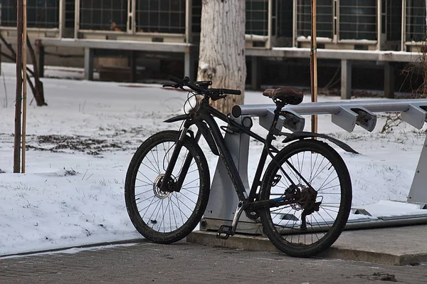 Kerékpár Parkolóban Egy Téli Reggelen — Stock Fotó