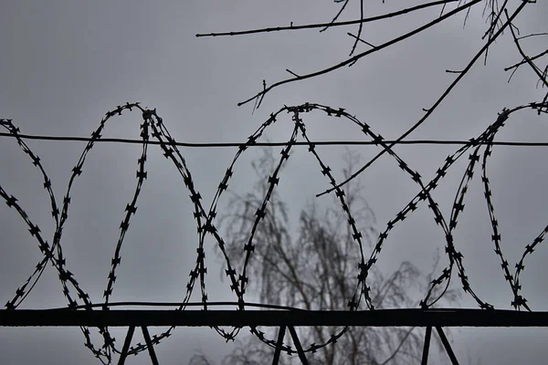 Φράχτη Αγκαθωτό Σύρμα Στο Φόντο Του Χειμερινού Ουρανού — Φωτογραφία Αρχείου