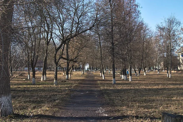 Ruelle Vieux Parc Dans Une Petite Ville — Photo