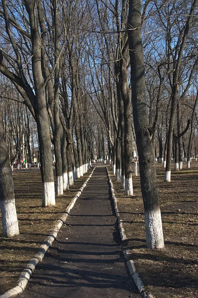 Ruelle Vieux Parc Dans Une Petite Ville — Photo