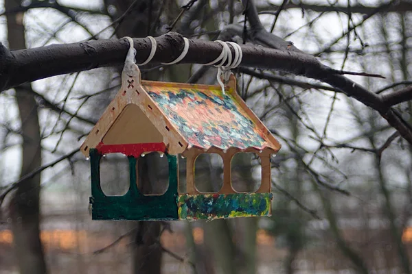 Bright Bird Feeder Tree Branch — Stock fotografie