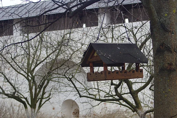 修道院院子里的一棵树上喂鸟 — 图库照片