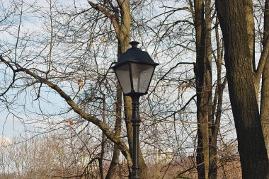 Parktaki ağaçların arasında fener