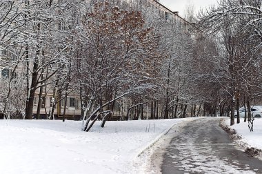 Bir bahar günü aniden kar yağdı.