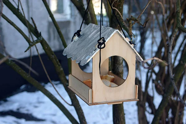 Vogelfutterhäuschen Form Eines Hauses Mit Brotstücken Inneren — Stockfoto