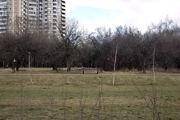 Bench Walking Area Outskirts City — Stock Photo, Image