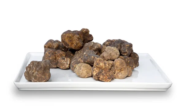 Italian white truffles — Stock Photo, Image