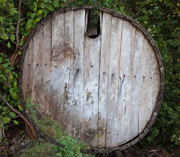 Viejo barril en un bosque — Foto de Stock