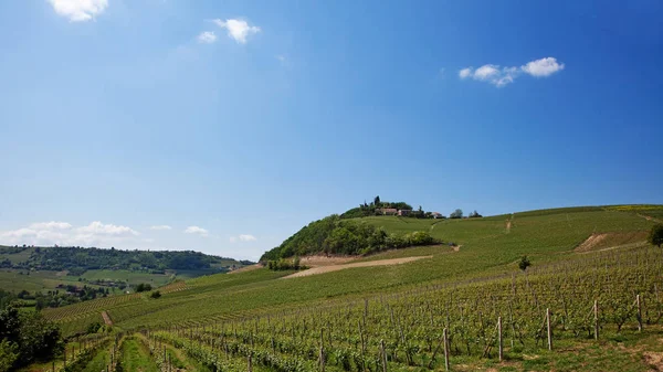 Paesaggio Italiano (Colline a Costigliole d'Asti, Italia ) — Foto Stock