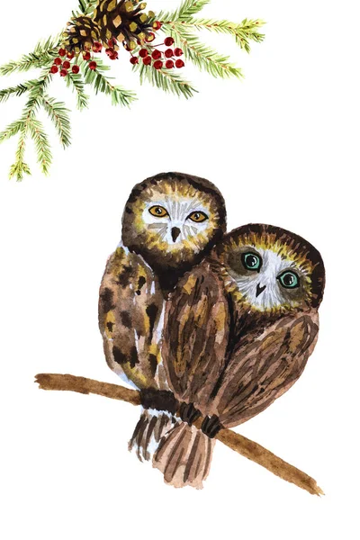 水彩画的一对在白色背景上隔离的森林猫头鹰 — 图库照片