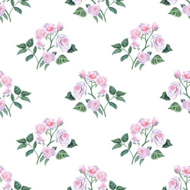 Beyaz arka planda pembe narin güllerle sulu boya deseni