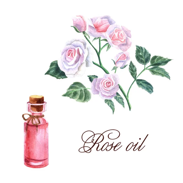 Акварельна ілюстрація з ефірною олією троянди — стокове фото