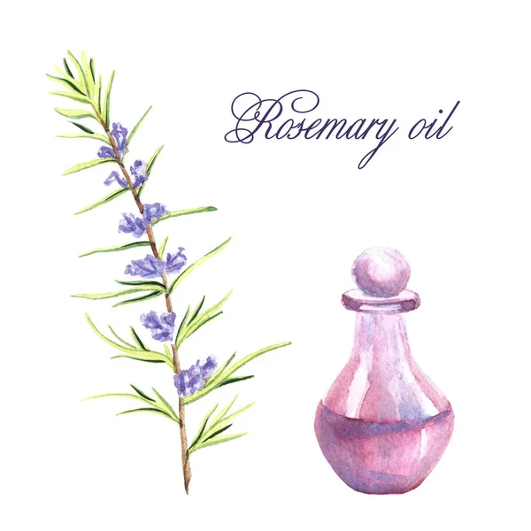 Aquarelillustratie met etherische olie van rozemarijn — Stockfoto