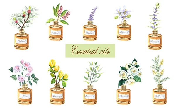 Set acquerello con bottiglie di oli essenziali: erbe aromatiche in piccole bottiglie — Foto Stock