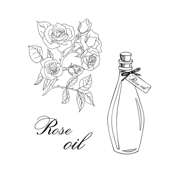 Illustrazione schizzo vettoriale con olio essenziale di rosa — Vettoriale Stock