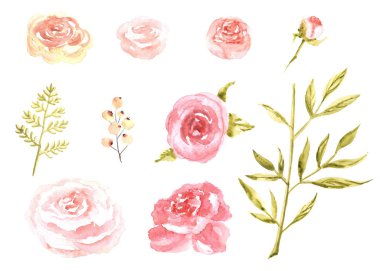 Watercolor set of pink sketch flowers isolated on a white background
