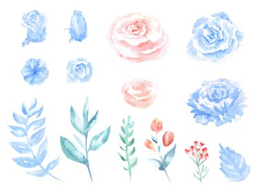 Watercolor set of pink and blue sketch flowers isolated on a white background